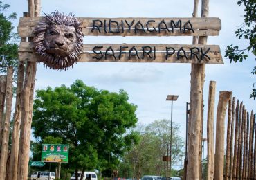 Ridiyagama-Safari-Park