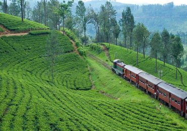 nuwara-eliya