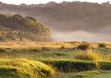 Horton-Plains-new