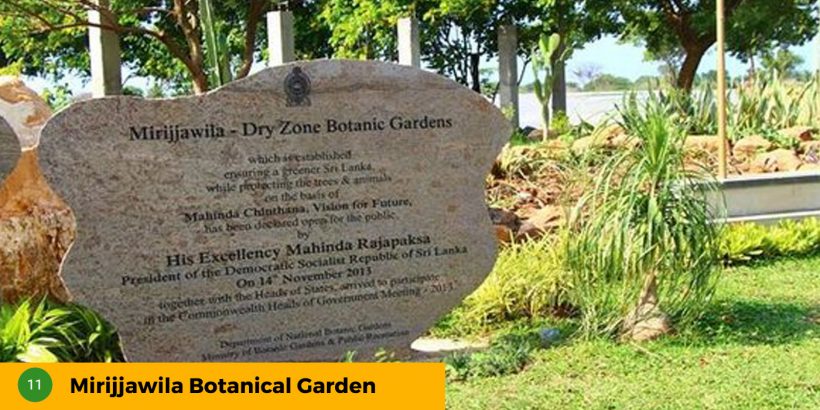 11-Mirijjawila-Botanical-Garden