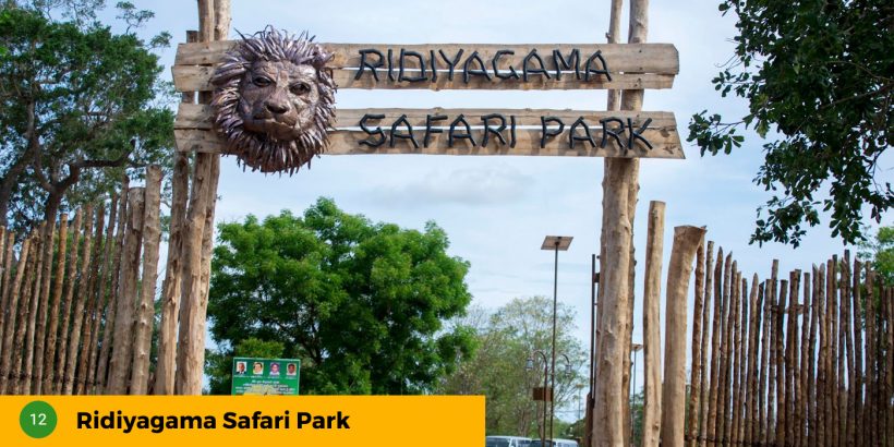 12-Ridiyagama-Safari-Park