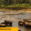 5-Udawalawa-National-Park