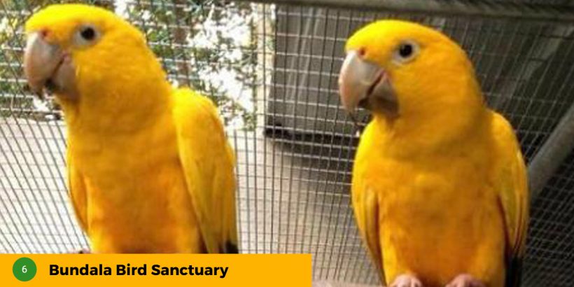 6-Bundala-Bird-Sanctuary